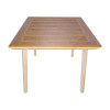 Τραπέζι Synergy pakoworld αλουμίνιο cappuccino-plywood σε φυσική απόχρωση 80x80x74εκ **
