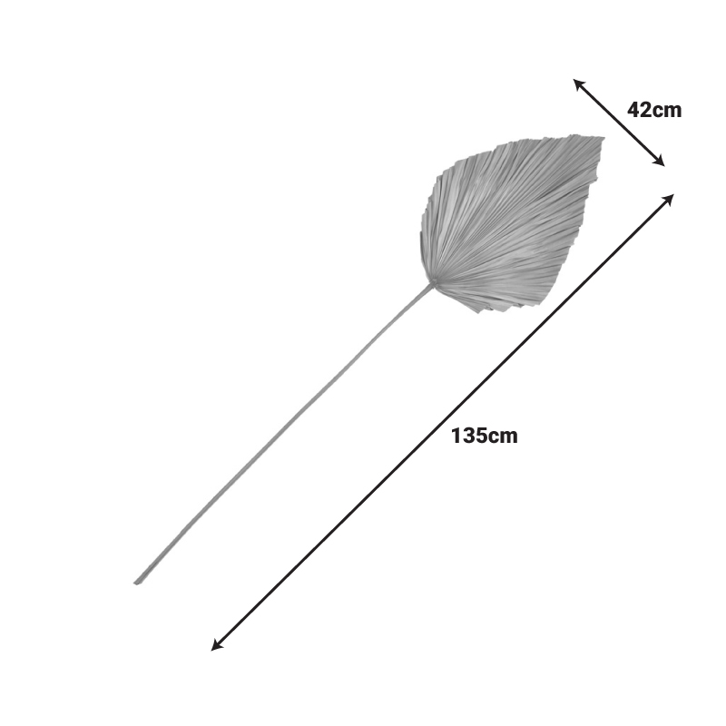 Διακοσμητικό φύλλο Walsy Inart palm leaf σε φυσική απόχρωση Υ135 εκ ** Διακοσμητικό φύλλο Walsy Inart palm leaf σε φυσική απόχρωση Υ135 εκ **