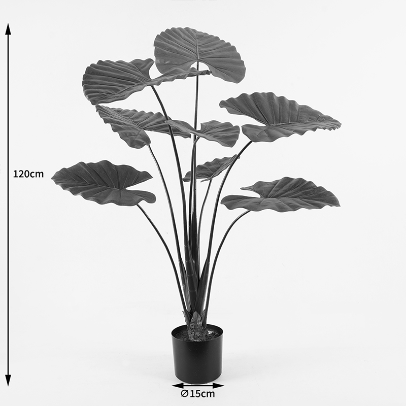 Διακοσμητικό φυτό σε γλάστρα Alocasia Inart πράσινο Φ90x120εκ ** Διακοσμητικό φυτό σε γλάστρα Alocasia Inart πράσινο Φ90x120εκ **