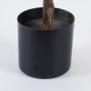 Διακοσμητικό φυτό σε γλάστρα Ficus Lyrata Inart πράσινο Φ70x130εκ ** Διακοσμητικό φυτό σε γλάστρα Ficus Lyrata Inart πράσινο Φ70x130εκ **