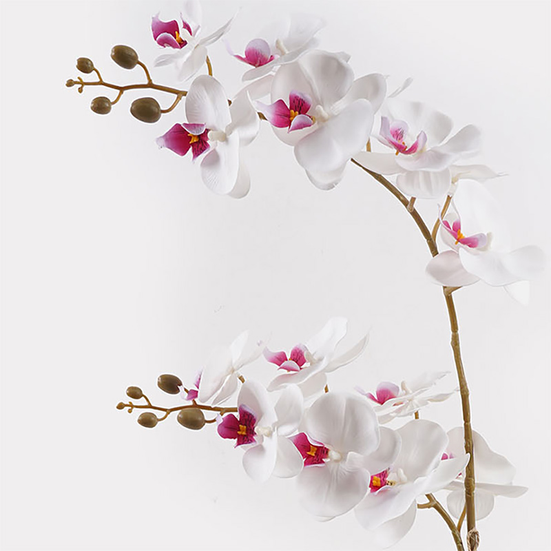 Διακοσμητικό φυτό σε γλάστρα Οrchid White Inart 36x17x65εκ ** Διακοσμητικό φυτό σε γλάστρα Οrchid White Inart 36x17x65εκ **